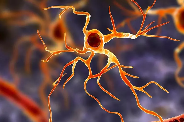 کشف سلول‌های زامبی سردرگم در مغز انسان پس از مرگ