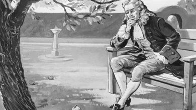 آیا گرانش با برخورد سیب به سر نیوتون کشف شد؟