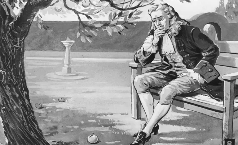 آیا گرانش با برخورد سیب به سر نیوتون کشف شد؟